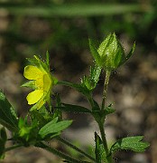 IMG_1614
