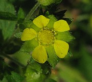 IMG_1615