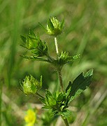 IMG_1617
