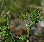 IMG_1622