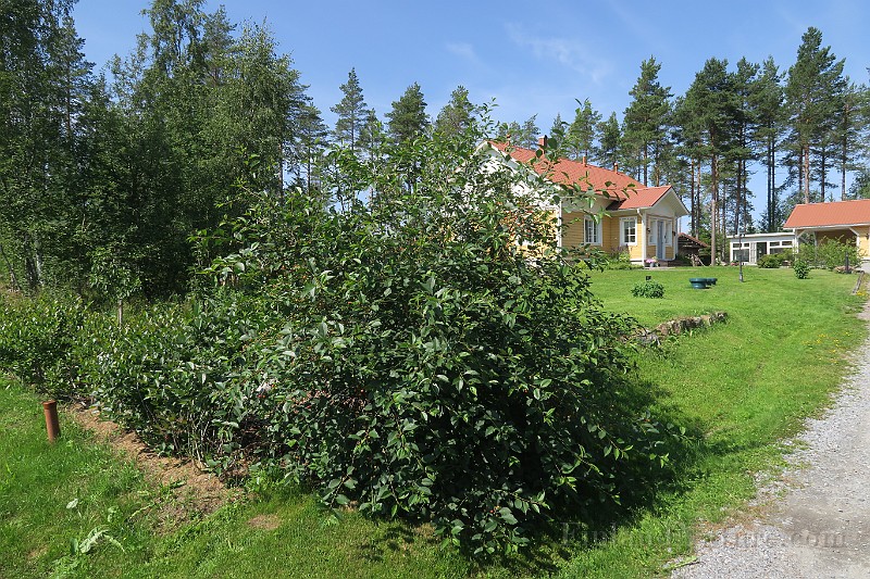 IMG_0126.JPG