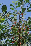 IMG_0124