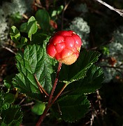 IMG_0102