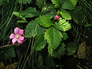IMG_9032