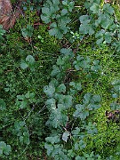 IMG_5442