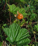 IMG_8202