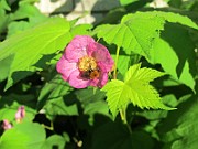 IMG_7647
