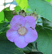 IMG_7651