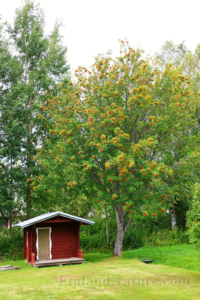 IMG_6931.JPG