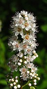 IMG_3329