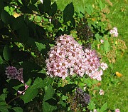 IMG_3160