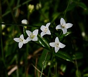 IMG_1626