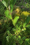 IMG_0013