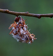 IMG_7128