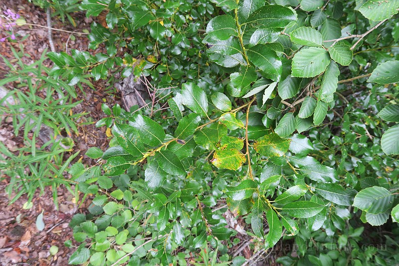 IMG_7309.JPG