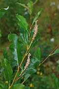 IMG_6924