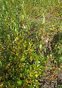 IMG_7031