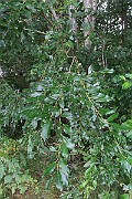 IMG_7073