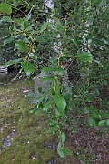 IMG_7079