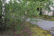 IMG_7080