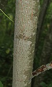 IMG_7300s