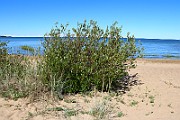 IMG_9378