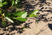 IMG_9383