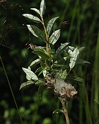 IMG_2075