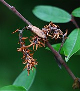 IMG_6753