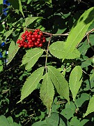 IMG_2788