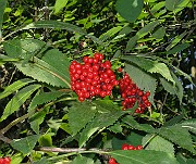 IMG_2789