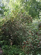 IMG_3181