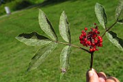 IMG_3247