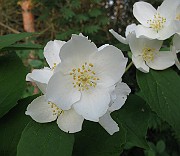 IMG_3647
