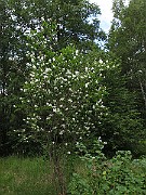 IMG_8399