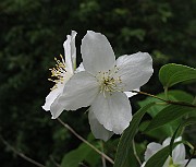 IMG_8401