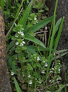 IMG_6815