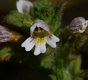 IMG_0585
