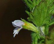 IMG_0587