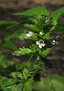 IMG_6914