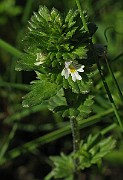 IMG_6915