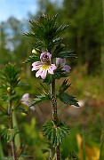 IMG_3494