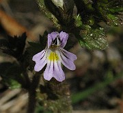 IMG_6252