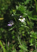 IMG_6973