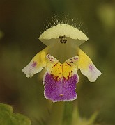 IMG_0459