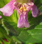IMG_8022