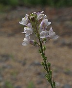 IMG_9298
