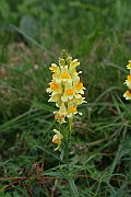 IMG_0360