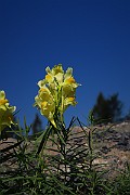 IMG_0402