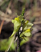 IMG_7025